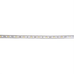 Ecola LED strip 220V STD 14,4W/m IP68 14x7 60Led/m Blue синяя лента  20м. S20B14ESB - фото 3894
