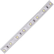 Ecola LED strip 220V STD  4,8W/m IP68 12x7 60Led/m 6000K 4Lm/LED 240Lm/m лента 100м. SA1D05ESB