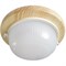 Ecola GX53 LED НБО-03-60-011 светильник Круг накладной IP65 дерево Клен 1*GX53 матовый 220х84 TP53R1ECA - фото 10585