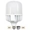 Ecola High Power LED Premium  65W 220V универс. E27/E40 (лампа) 4000K 195х140mm HPUV65ELC - фото 10658